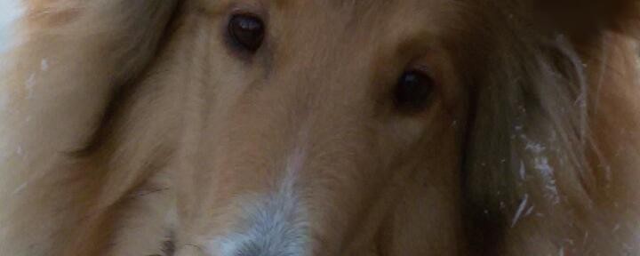 Neuer Praxismitarbeiter